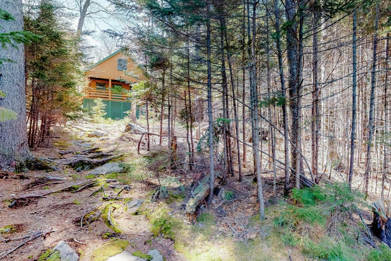 Loon Landing Lodge Greenville Exteriör bild